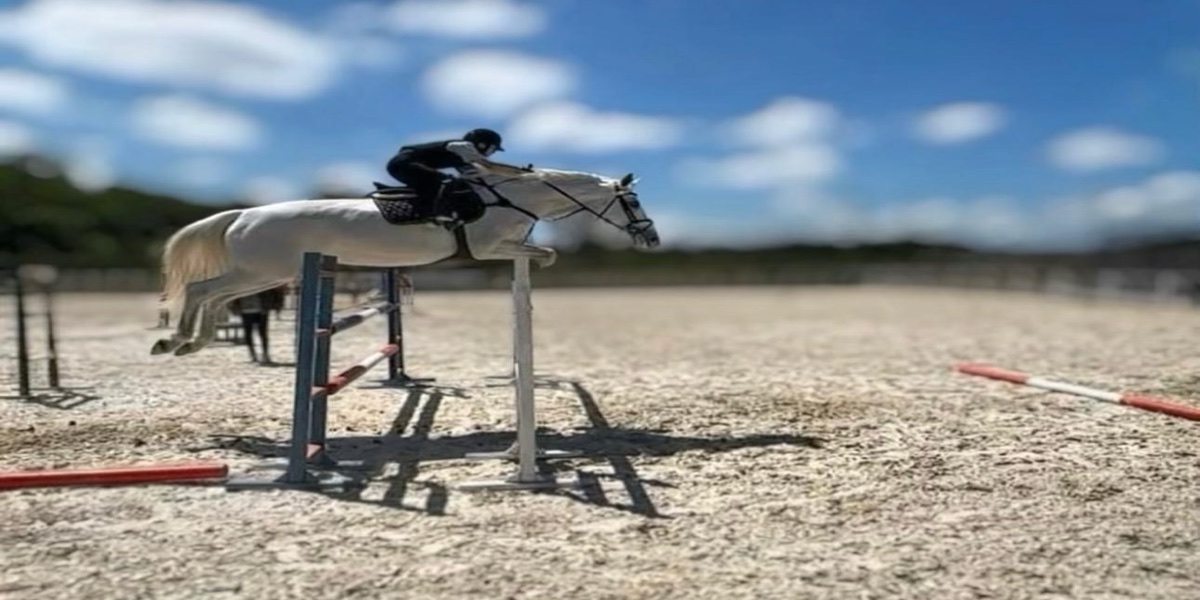 Show Jumping (Engel Atlama)